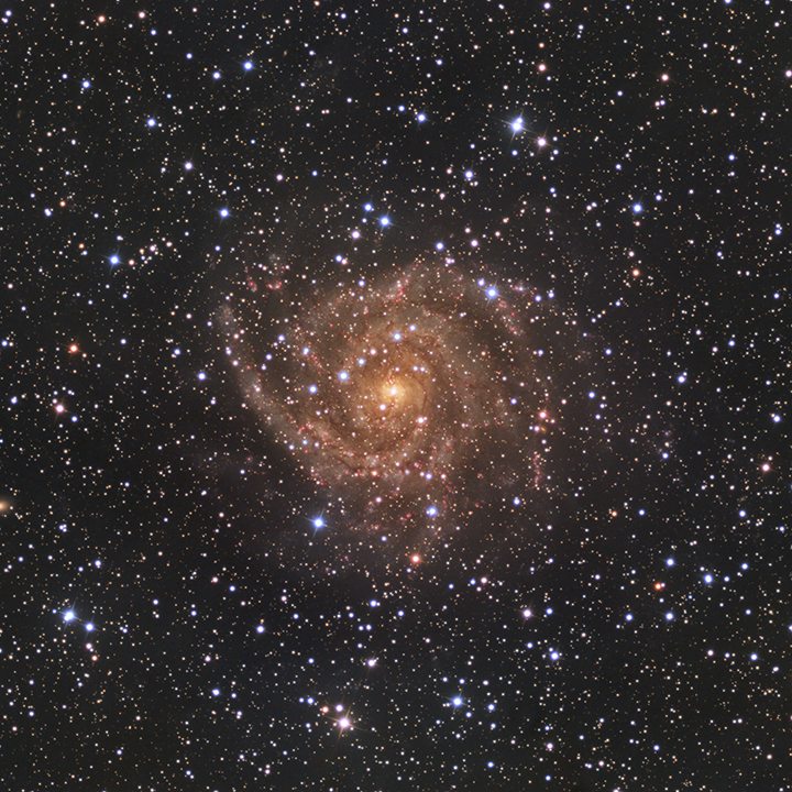 IC 342